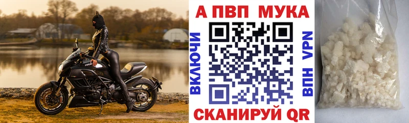 A-PVP СК КРИС  Ачхой-Мартан 