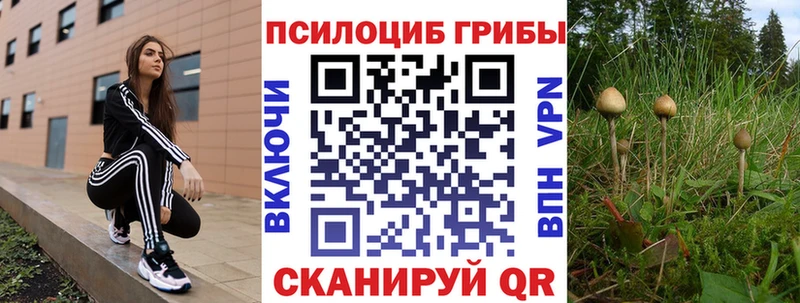 Псилоцибиновые грибы ЛСД  Ачхой-Мартан 